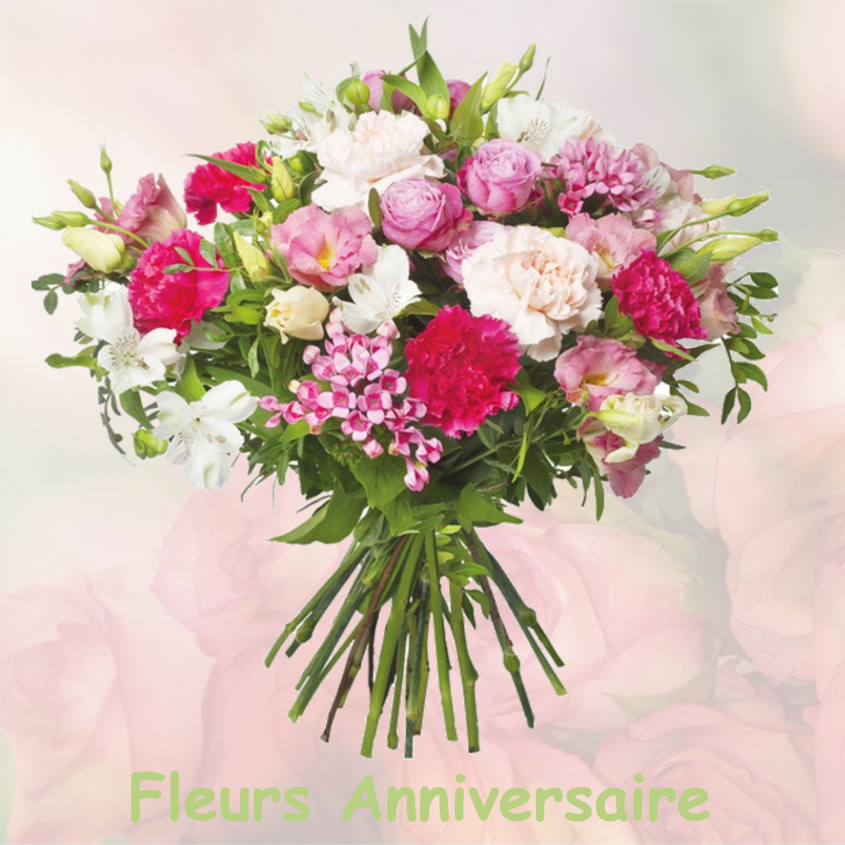 fleurs anniversaire BELVOIR